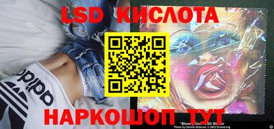 ГАЛЛЮЦИНОГЕННЫЕ ГРИБЫ Северобайкальск