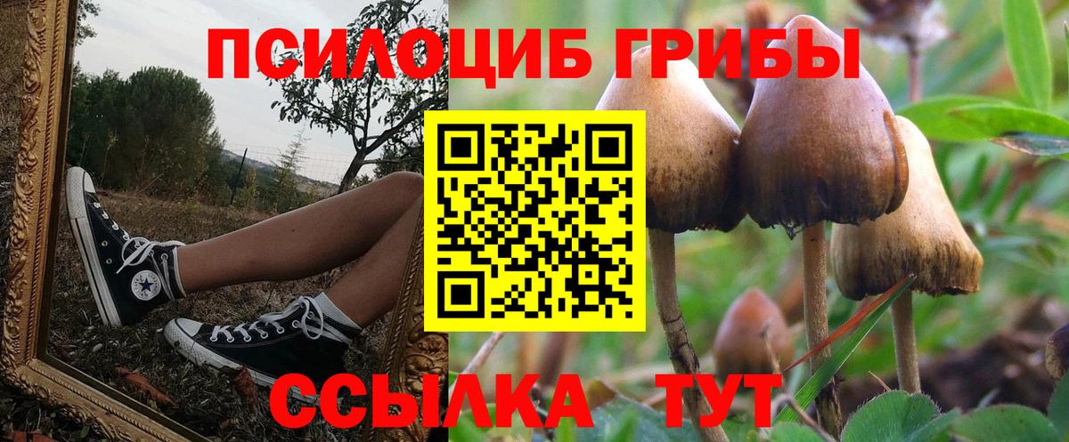Галлюциногенные грибы Cubensis  как найти закладки  Омск  Вход с VPN 